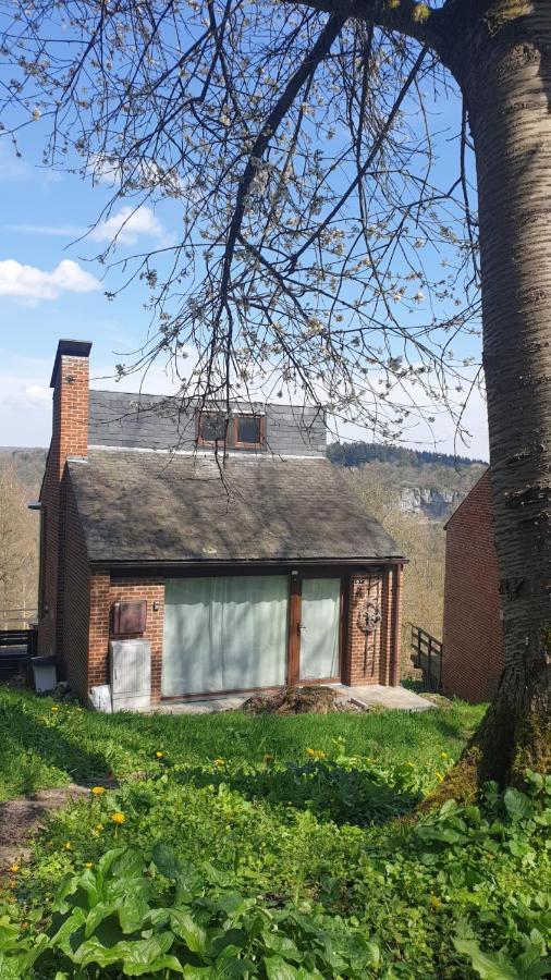 La Cabane D'Helie - Cottage En Pleine Foret - Domaine Du Bonsoy Hastiere-par-dela Eksteriør bilde