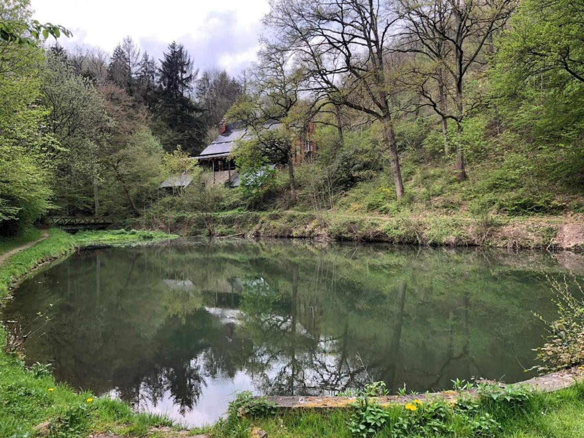 La Cabane D'Helie - Cottage En Pleine Foret - Domaine Du Bonsoy Hastiere-par-dela Eksteriør bilde